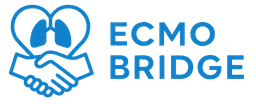 ECMO Bridge